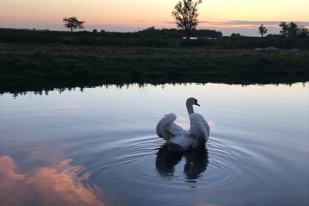 Romantic Dutch Hideaway Jisp Exteriör bild